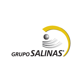 Logotipo de Grupo Salinas